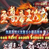 [出售GOM引擎] 独家原创至尊帝王火龙三职业微变开区GM论坛-副本妖塔